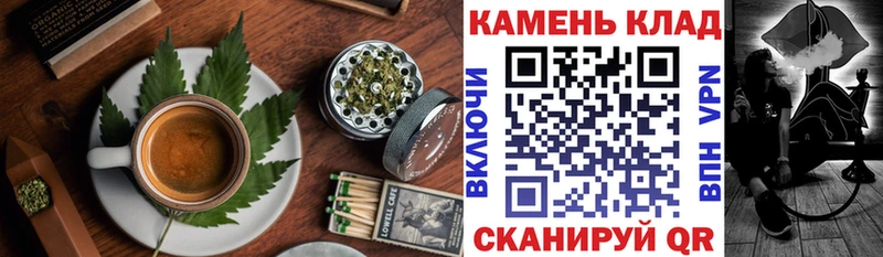 купить   Чернушка  Canna-Cookies конопля 