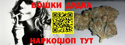 амф Дубна