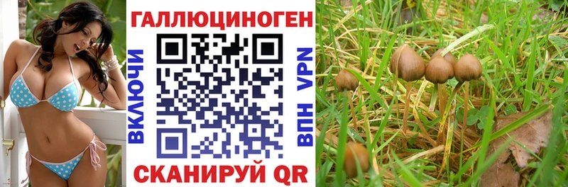 Псилоцибиновые грибы Magic Shrooms  Чернушка 