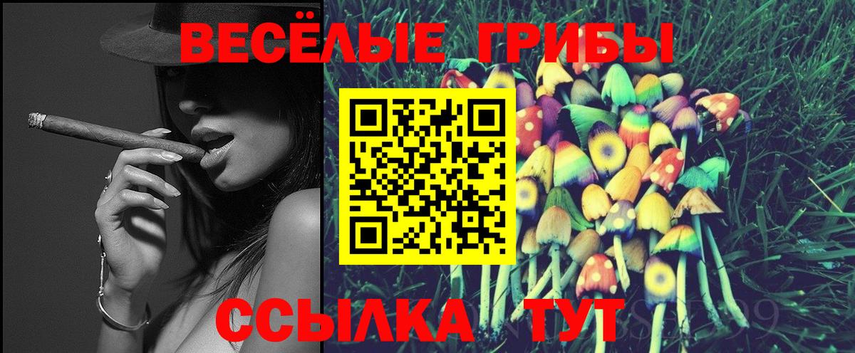 Чернушка  Галлюциногенные грибы мицелий  Вход с VPN 