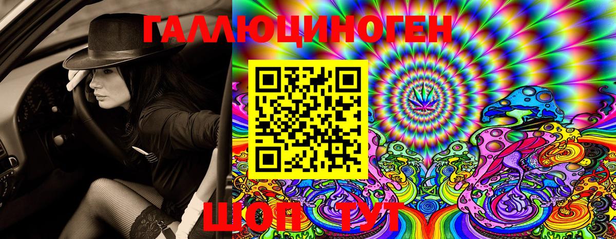 Псилоцибиновые грибы GOLDEN TEACHER Чернушка