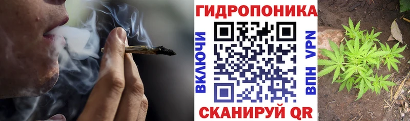 сколько стоит  Чернушка  Канабис конопля 