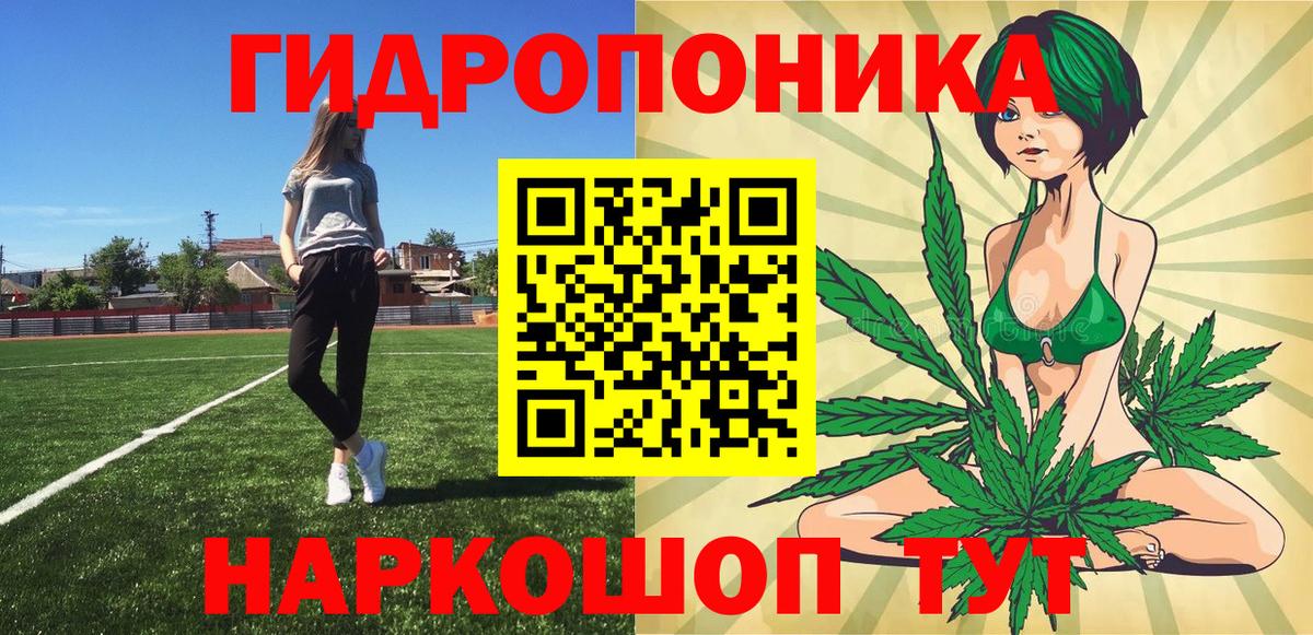Каннабис план  Чернушка  Бошки марихуана гибрид  Марихуана SATIVA & INDICA 